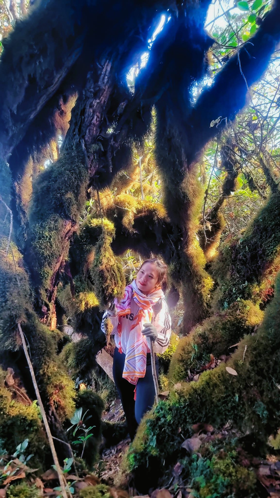 5 Days Hoang Su Phi Trekking Holiday